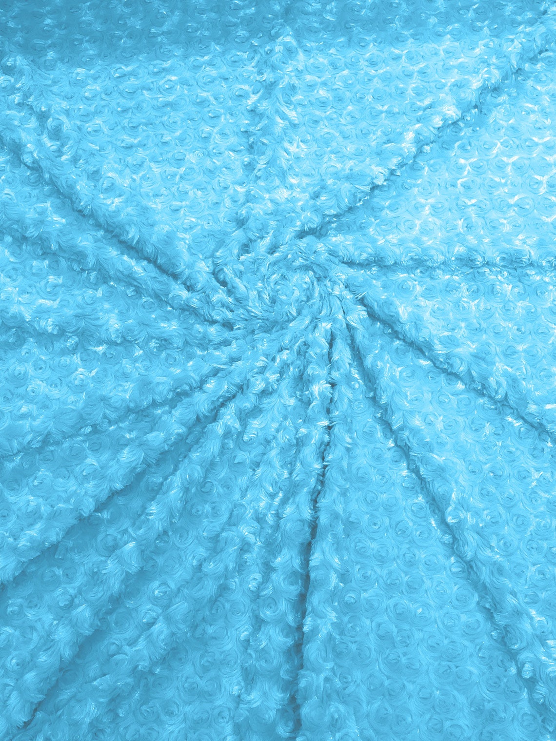 MINKY - Baby Blanket Crafts Decor Ultra Soft Cuddling - AQUA BLUE - Minky Swirl Rose Blossom Ball Rosebud Plush - Craft Fabrics Sold by The Yard.